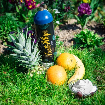 Exotic Whip Cream Chargers