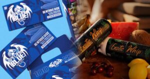 ExoticWhip vs. Special Blue : Quel Chargeur de Crème est Fait pour Vous ?